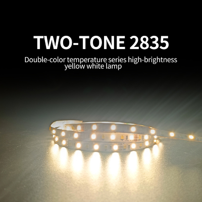 120LEDs फ्लेक्सिबल SMD 2835 LED स्ट्रिप लो वोल्टेज 12V / 24V रिमोट कंट्रोल टाइप:
