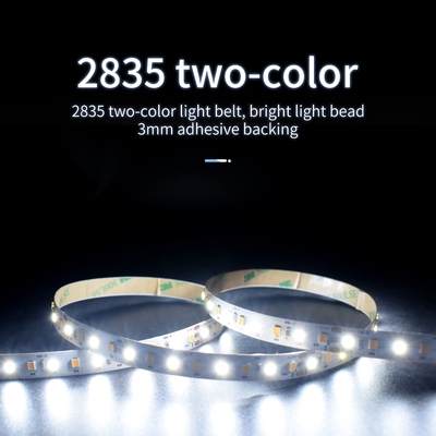 एस्केलेटर SMD 2835 LED स्ट्रिप बेल्ट आउटडोर इंडोर लाइटिंग 12V 24V