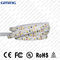 एसएमडी 5050/3528 24V एलईडी स्ट्रिप लाइट्स पनरोक आरजीबी 5 एम रिबन 9.6 डब्ल्यू / एम पावर