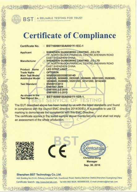 चीन Shenzhen GM lighting Co.,Limited. प्रमाणपत्र