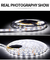 मोनोक्रोम 2835 एलईडी स्ट्रिप लाइट्स 60LEDs फ्लेक्सिबल इंडक्शन डेकोरेटिव लाइट स्ट्रिप